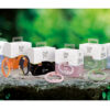 PULSERA ANTI MOSQUITOS  CON CITRONELA  BYE PIC - Imagen 5
